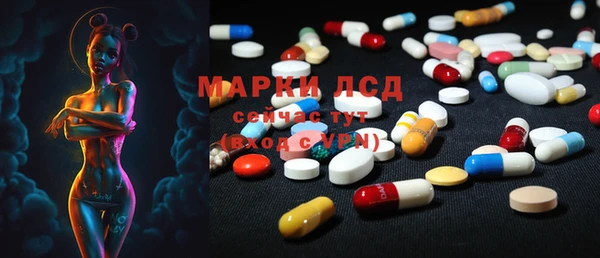 прущие крисы Инта