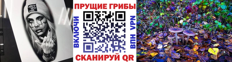Псилоцибиновые грибы GOLDEN TEACHER  Купить  Миньяр 